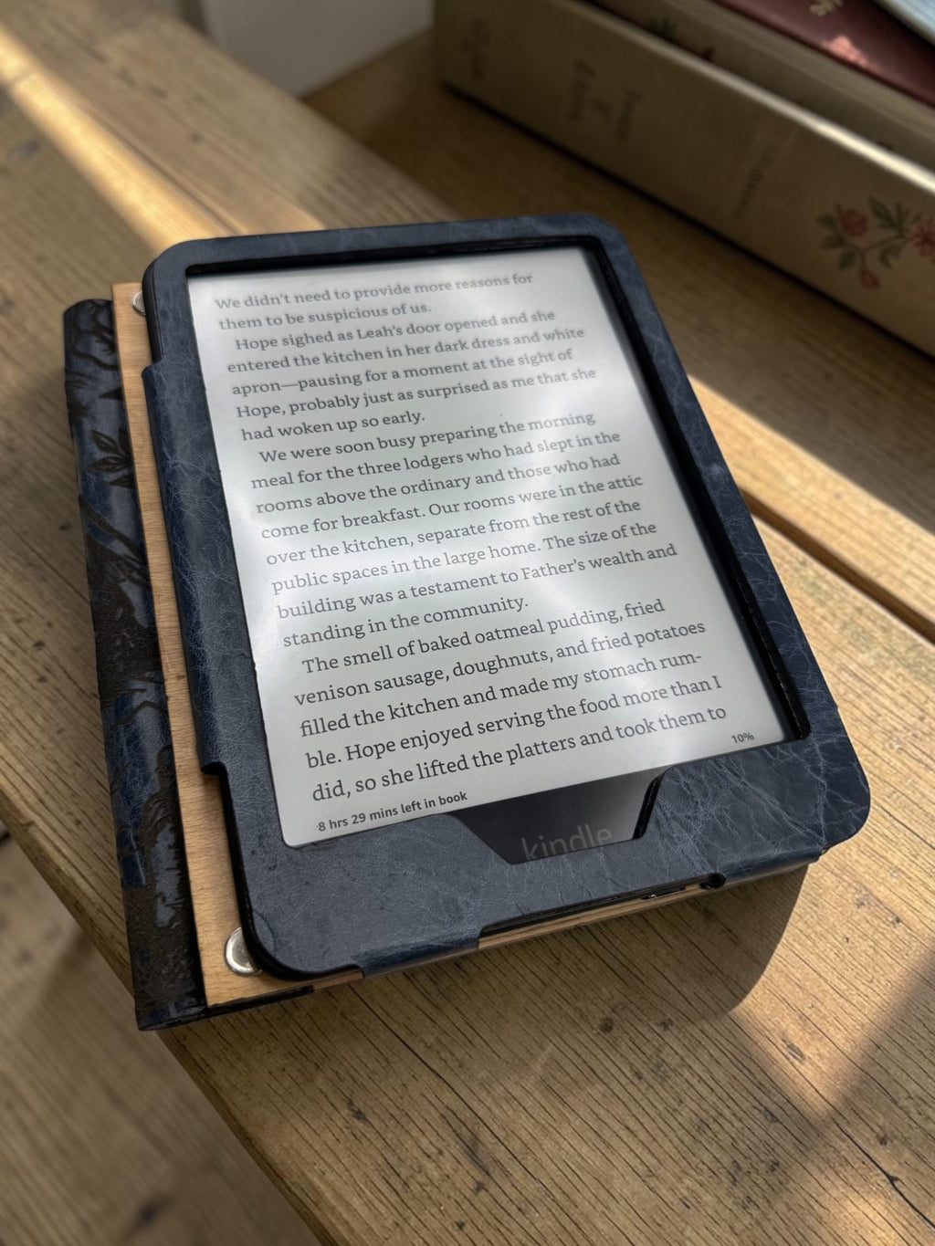 Faraway Kingdom Kindle Cover